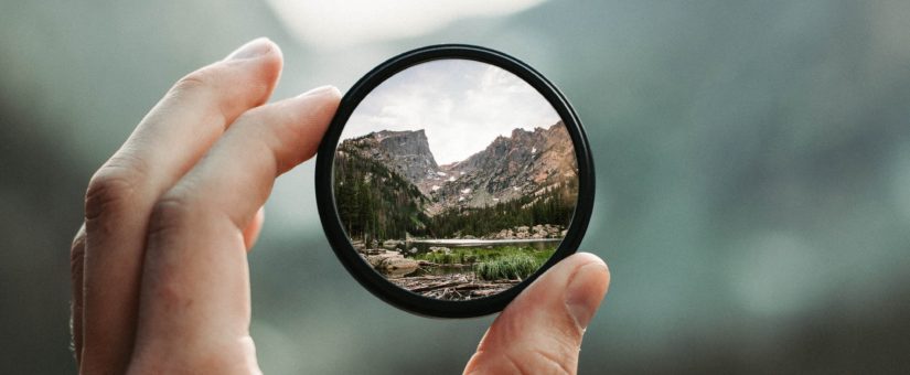 For Better Results, Follow Your Curiosity